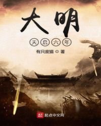 大明天启六年